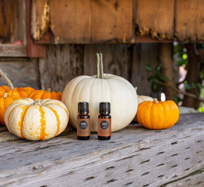 Ginger Essential Oil