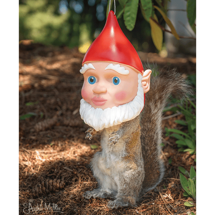 A gnome-masked squirrel perches on a dirt path amidst the verdant garden foliage, creating a delightful display. The Gnome Squirrel Feeder adds an enchanting touch to any garden by blending nature with charming novelty.