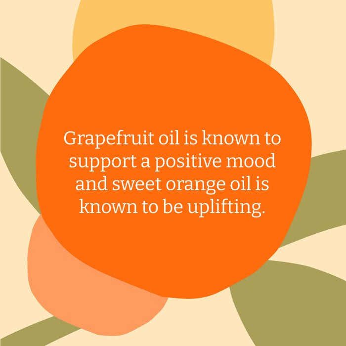 Grapefruit & Orange body wash - aluminium refill set