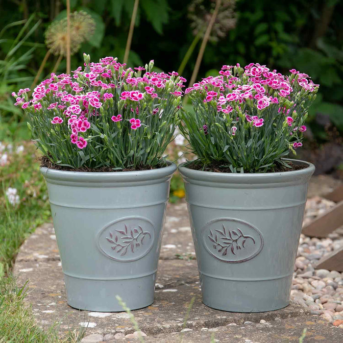 Grey Olive Planters 23cm