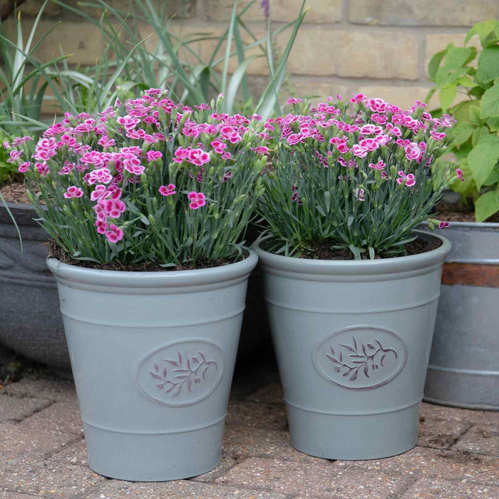 Grey Olive Planters 23cm