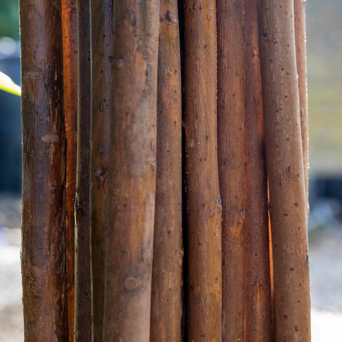 Grow It Willow Plant Sticks