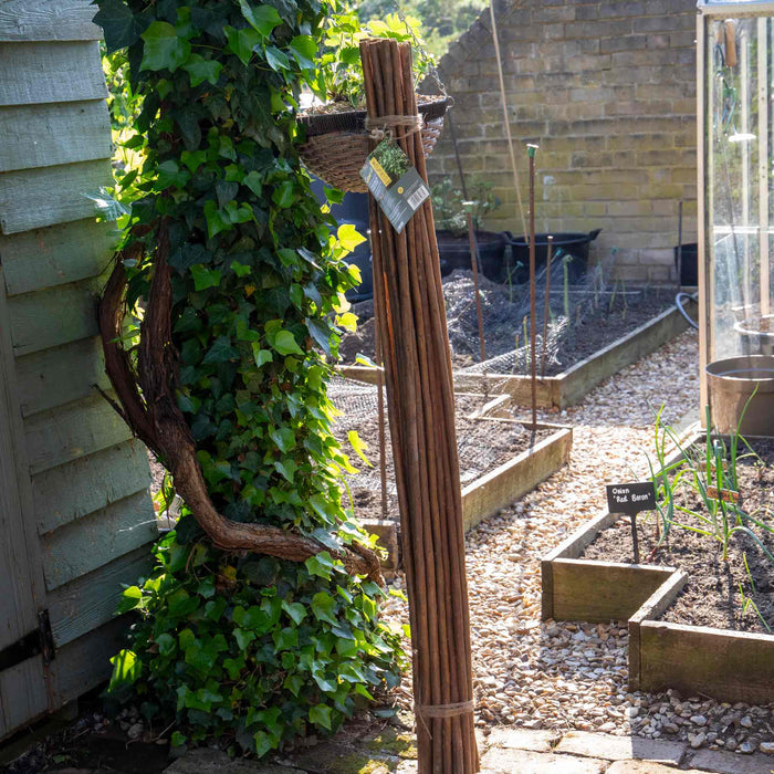 Grow It Willow Plant Sticks