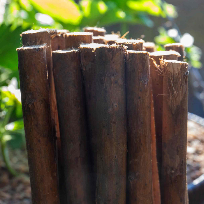 Grow It Willow Plant Sticks