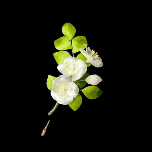 Handmade Ronghua Pear Flower Small White Flower Brooch - Lifelike Botanical Brooch