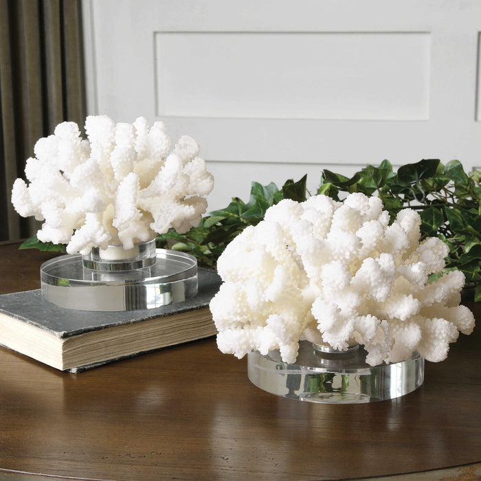 Hard Coral Table Accent Sculptures