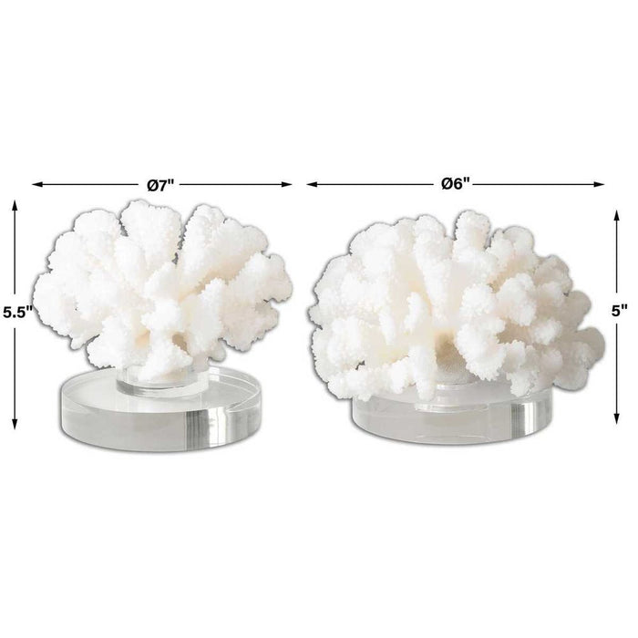 Hard Coral Table Accent Sculptures