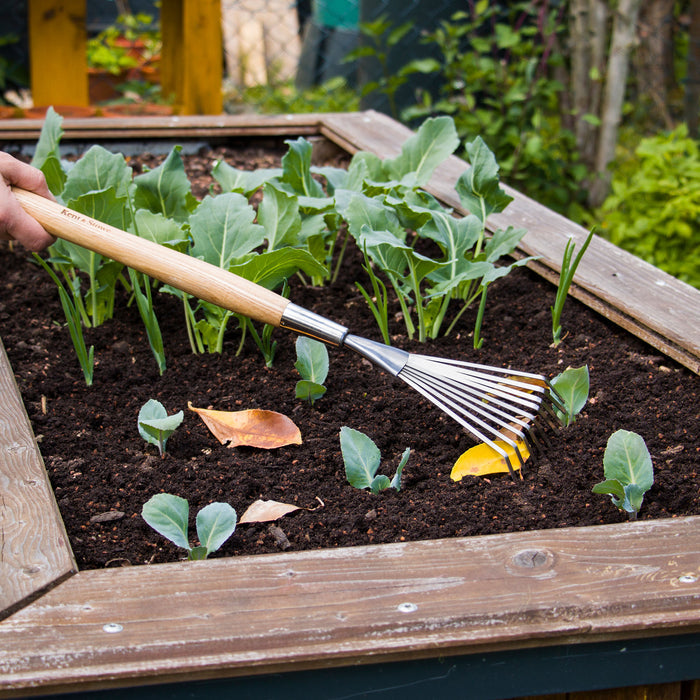 Kent & Stowe Stainless Steel Border Hand Shrub Rake in veg bed