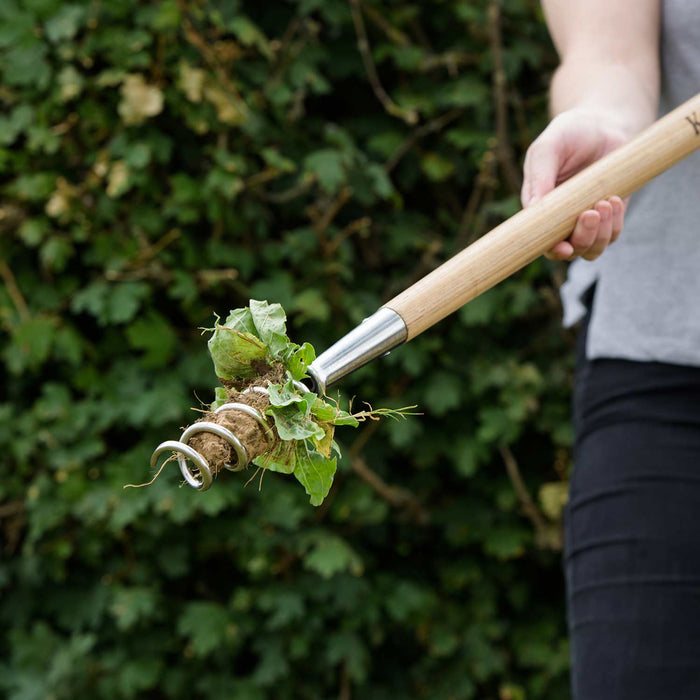Kent & Stowe Stainless Steel Long Handled Corkscrew weeder