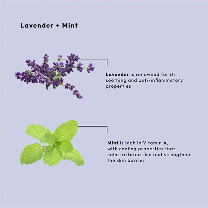 Lavender and Mint Calming Spa Set – 4-Step Starter Kit (16oz jars)-BCL Spa-Gel Essentialz