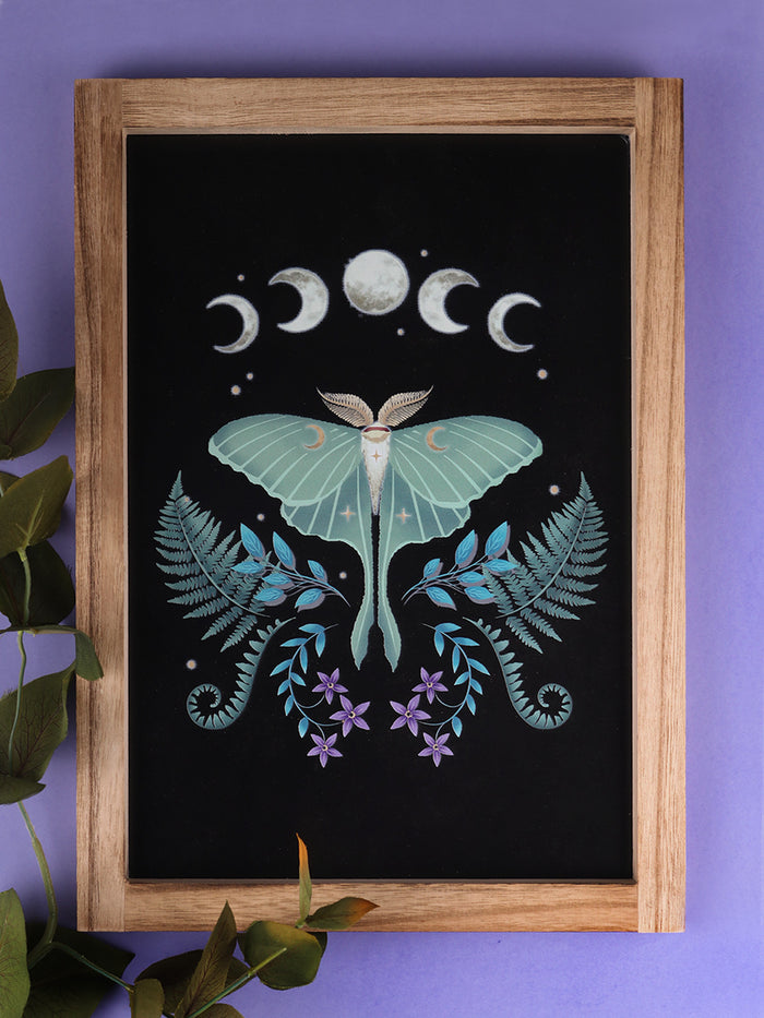 Luna Moth Wooden Framed Wall Art | One Colour-Image 1