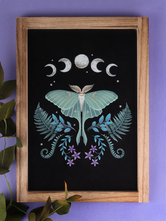 Luna Moth Wooden Framed Wall Art | One Colour-Image 1