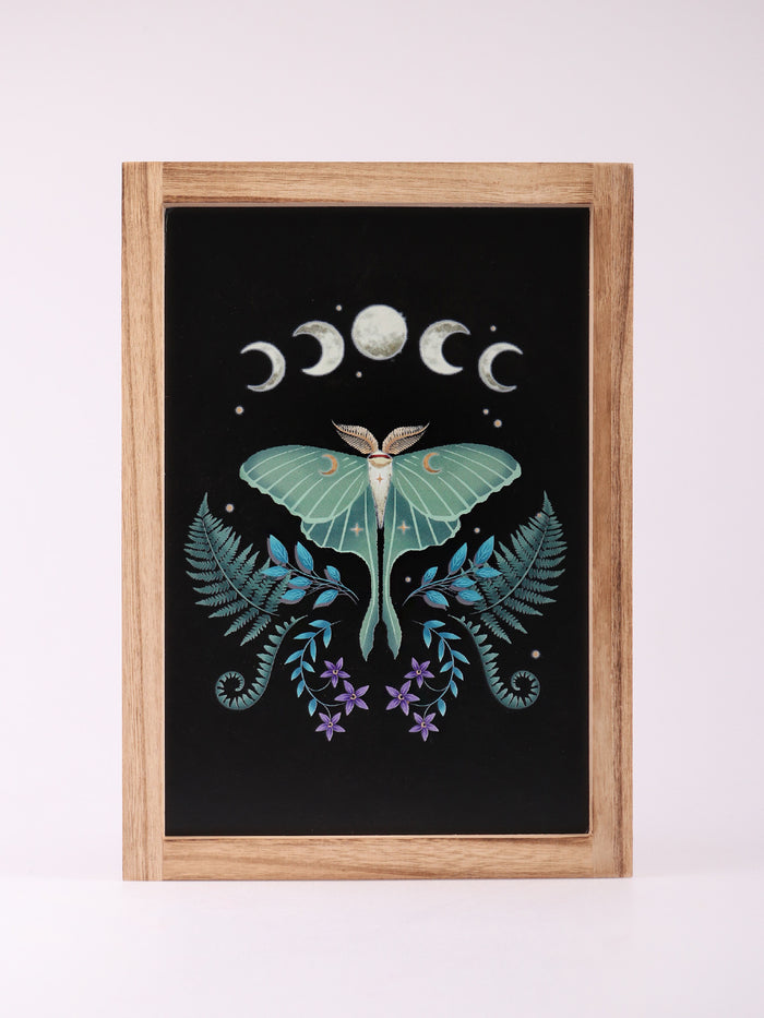 Luna Moth Wooden Framed Wall Art | One Colour-Image 2
