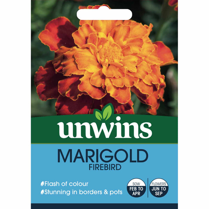 Marigold Seeds 'Firebird'