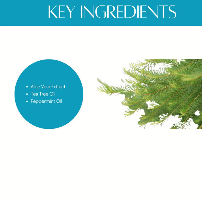 Natuur.in EDGE shaving cream key ingredients list featuring aloe vera, tea tree oil, and peppermint oil