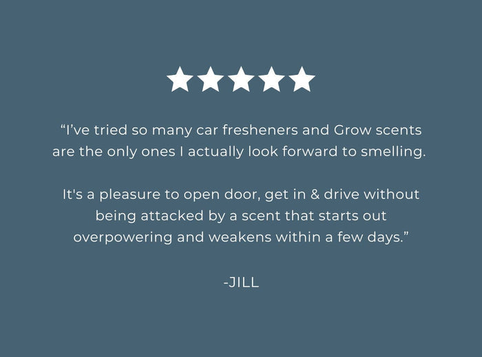 Pacific Driftwood Car Freshener