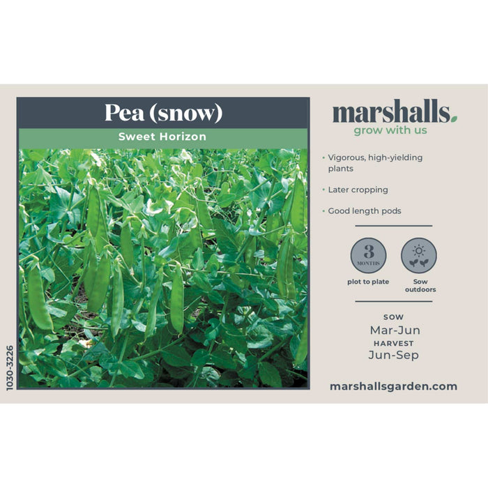 Pea Seeds Snow 'Sweet Horizon'