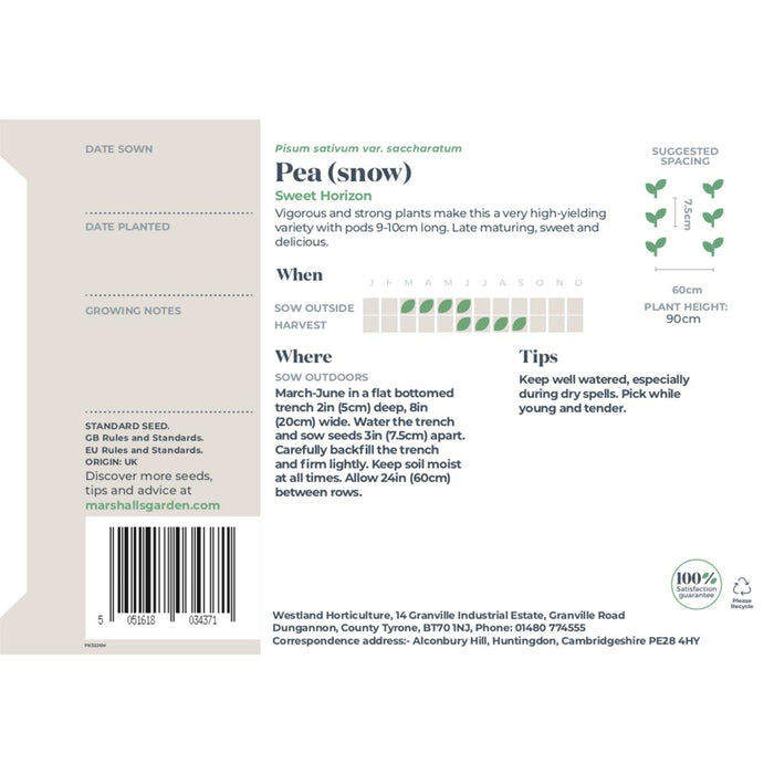 Pea Seeds Snow 'Sweet Horizon'