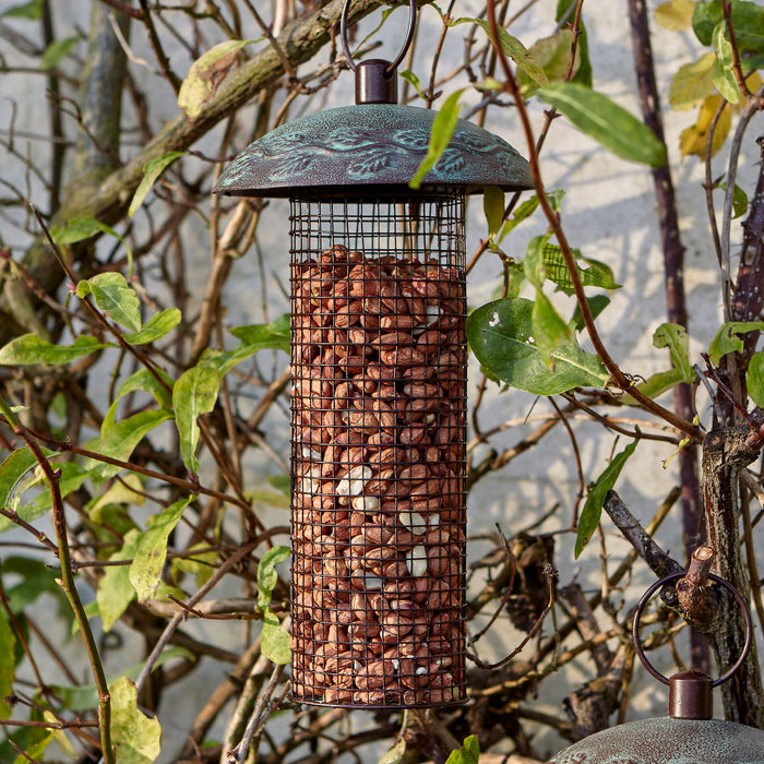 Peckish Secret Garden Peanut Feeder hanging in tree
