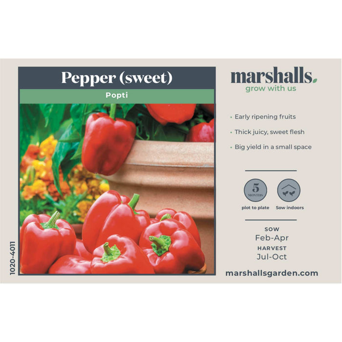 Pepper Seeds 'Sweet Popti'