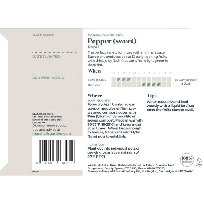 Pepper Seeds 'Sweet Popti'