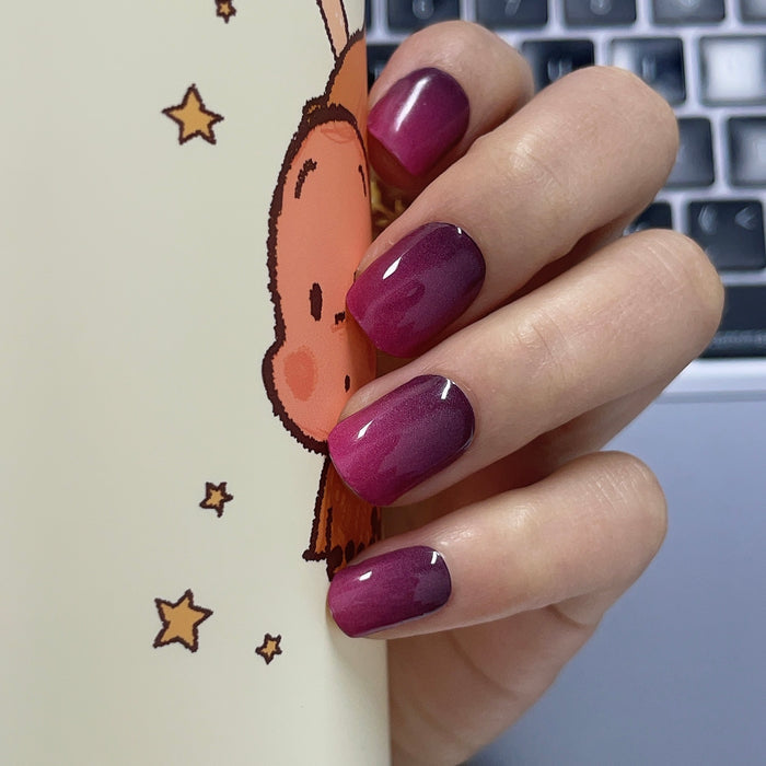 Purple Pink Ombre