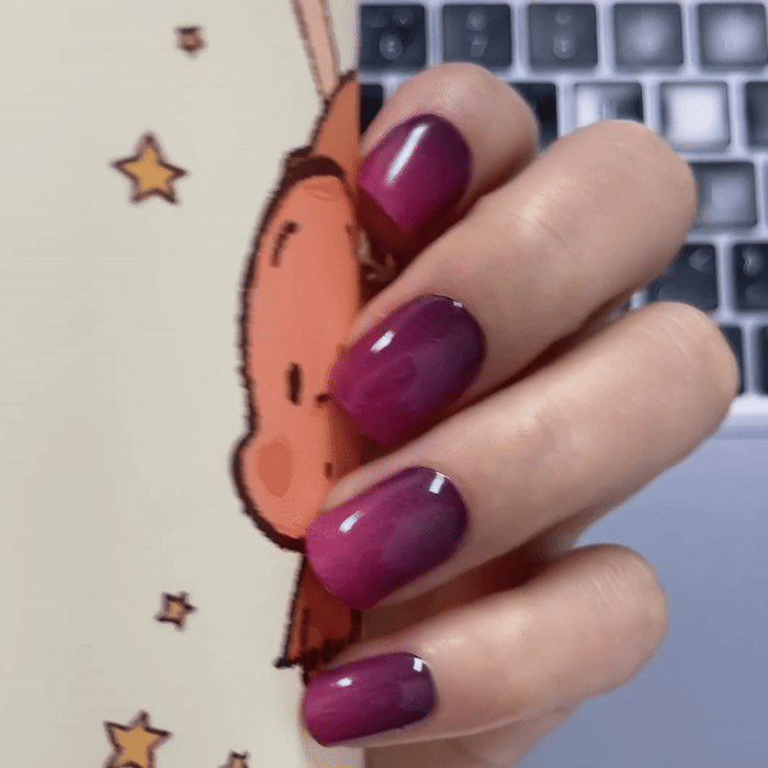 Purple Pink Ombre