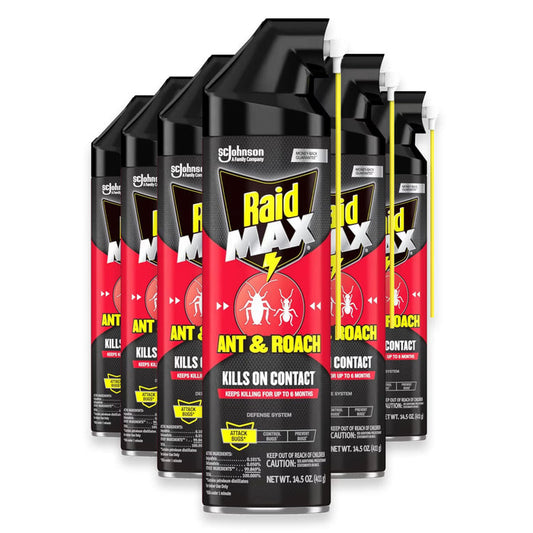 Raid Max Ant & Roach Killer - 14.5 oz - 6 Pack