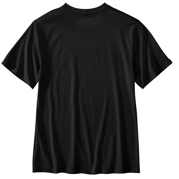 Relaxed Fit Lightweight Short-Sleeve Script Graphic T-Shirt - N04-Black | Carhartt 106762
