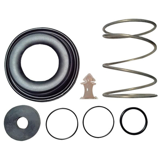 Relief Valve Rubbers and Spring Kit