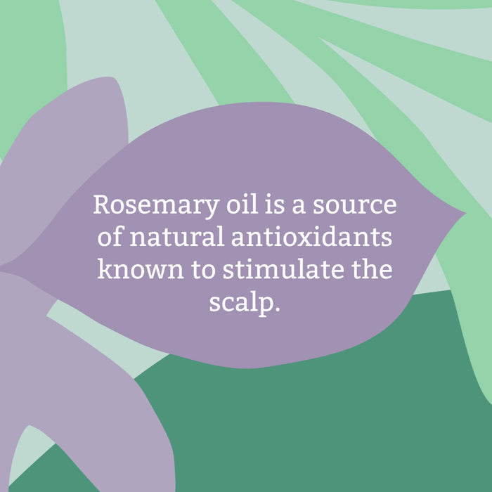 Rosemary shampoo & conditioner set - 1L