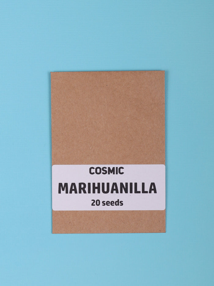 Sacred Herb Seeds | Marihuanilla-Image 1