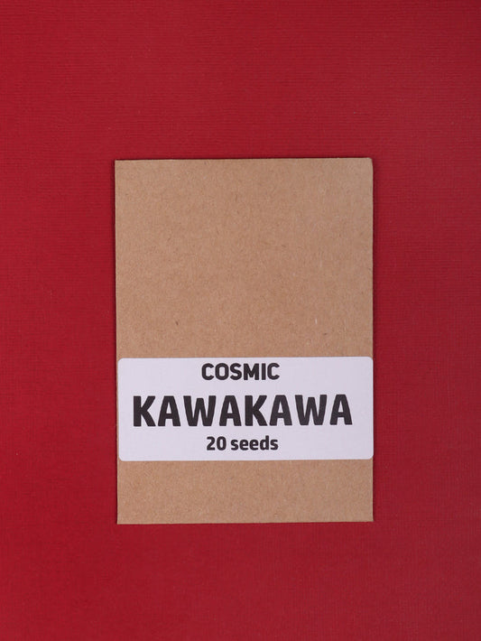 Sacred Herb Seeds | Kawa Kawa-Image 1