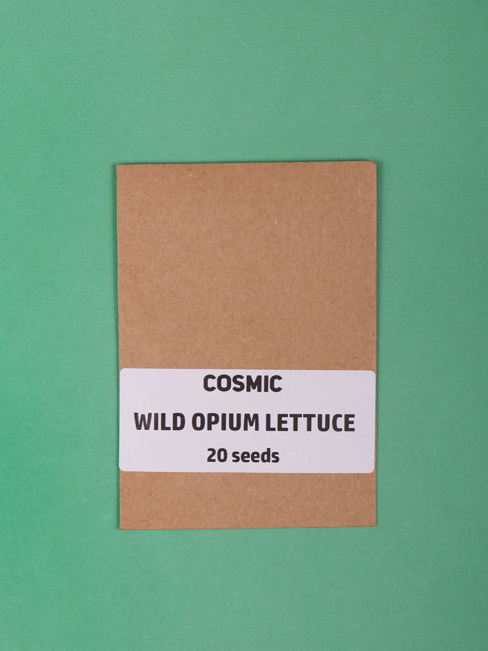 Sacred Herb Seeds | Wild Opium Lettuce-Image 1