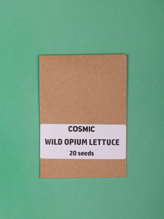 Sacred Herb Seeds | Wild Opium Lettuce-Image 1