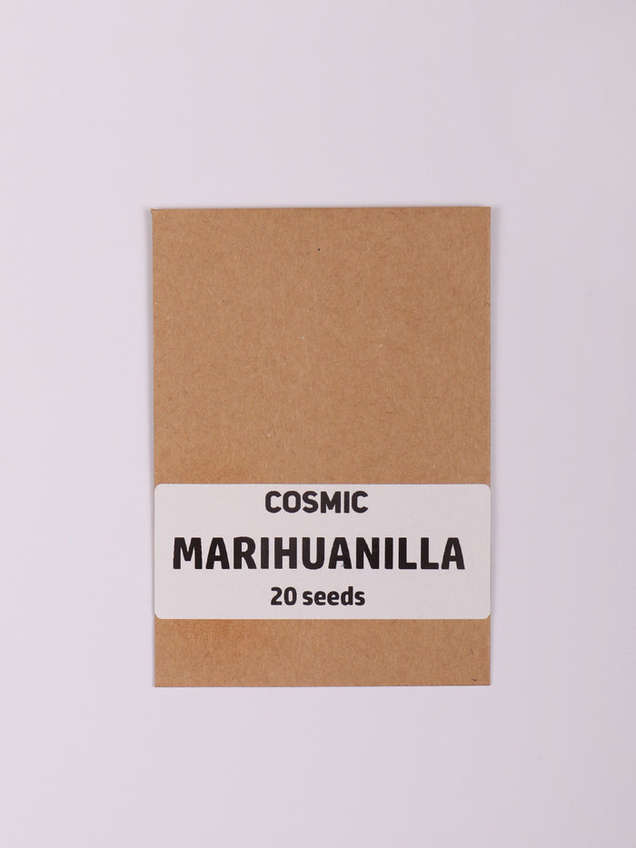 Sacred Herb Seeds | Marihuanilla-Image 2
