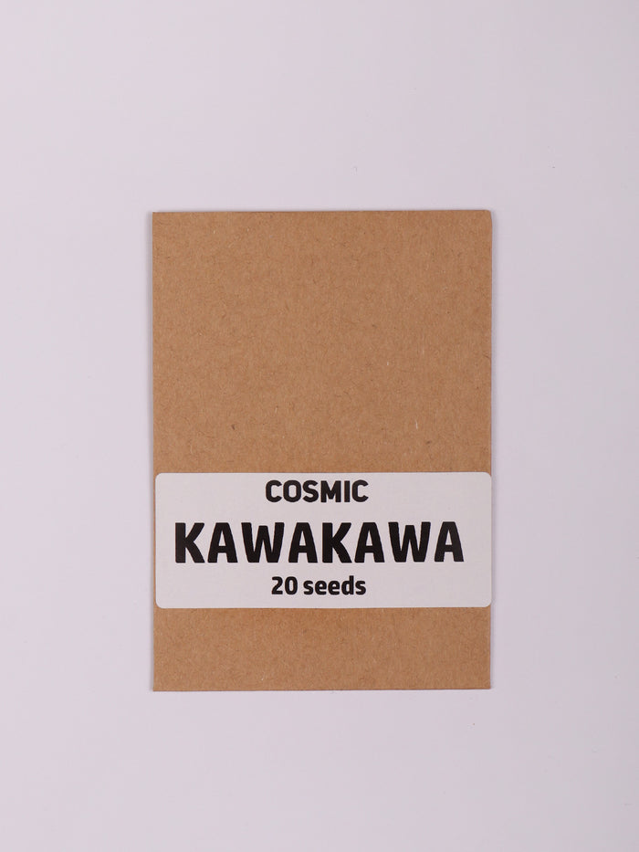 Sacred Herb Seeds | Kawa Kawa-Image 2