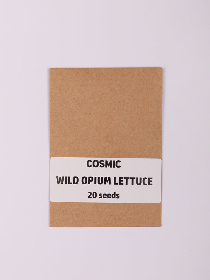 Sacred Herb Seeds | Wild Opium Lettuce-Image 2