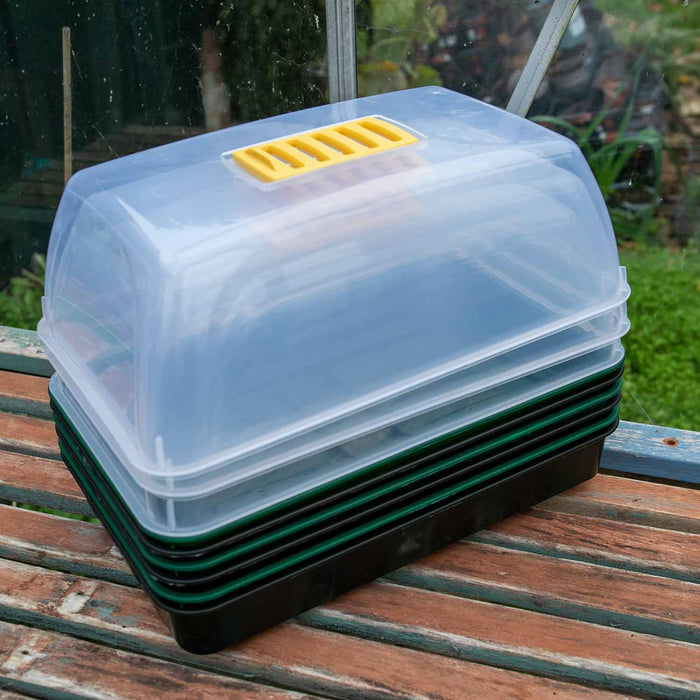 Seed Propagator Kit Medium
