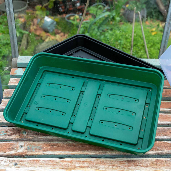 Seed Propagator Kit Medium