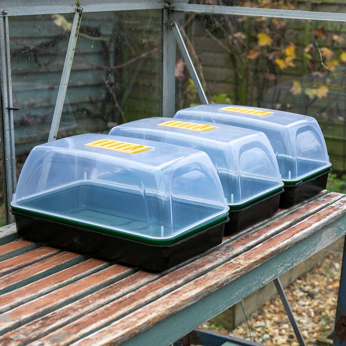 Seed Propagator Kit Medium