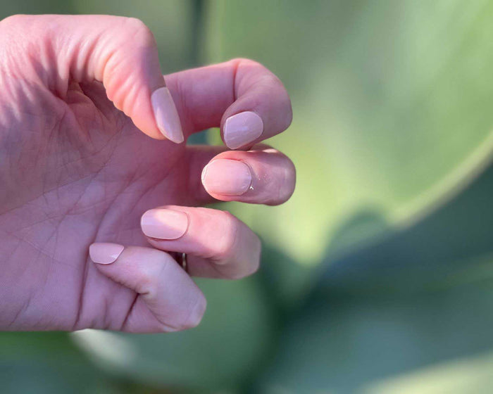 Semi-cured Gel Nail Wraps - Peach Sunday