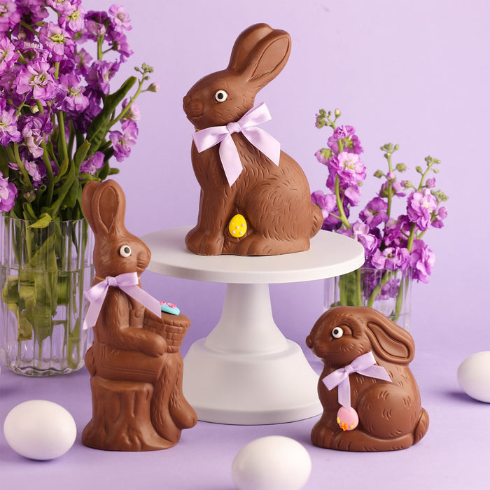 Shy Bunny