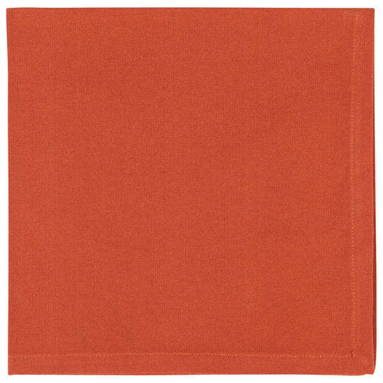 Spectrum Napkin Rust Set/4