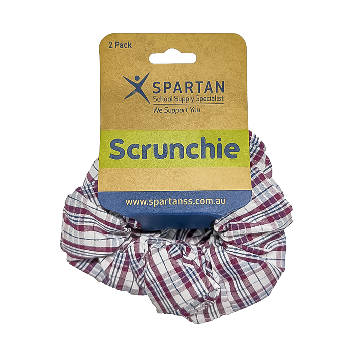 Summer Scrunchie - 2 Pack