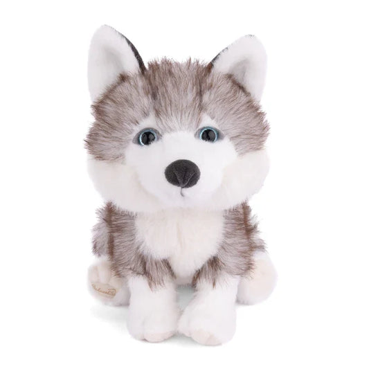 Sweet Husky