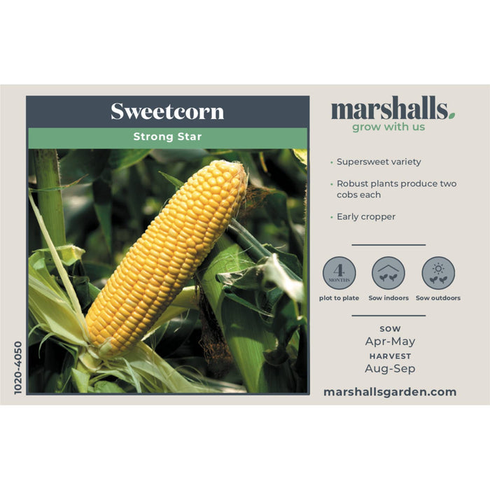Sweetcorn Seeds 'Strong Star' F1