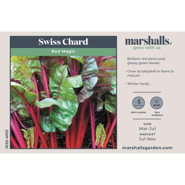 Swiss Chard Seeds 'Red Magic'