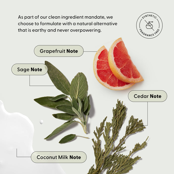 Fragrance notes infographic for Arey Shower Duo Refill Pouches showing natural scent ingredients: grapefruit slice, sage leaves, cedar branches, and coconut milk drop. Labeled Grapefruit Note, Sage Note, Cedar Note, Coconut Milk Note. Badge: Synthetic Fragrance Free. Text reads: As part of our clean ingredient mandate, we choose to formulate with a natural alternative that is earthy and never overpowering.