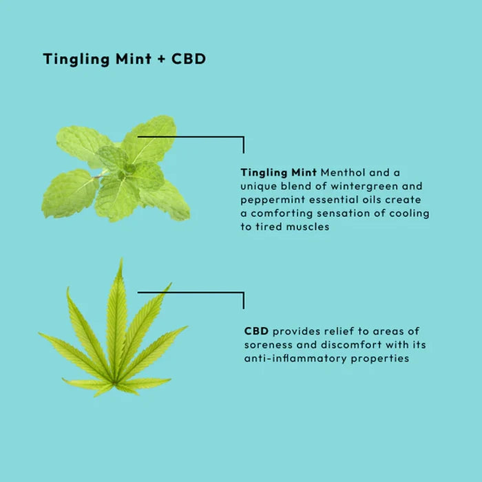Tingling Mint & CBD Spa Set – 4-in-1 Kit (SINGLE-USE)-BCL Spa-Gel Essentialz